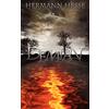 www.bnpublishing.com Demian (Spanish edition)