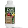 Il Paese Verde - Concime Liquido Borosprint, 1L