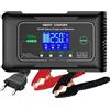 Haisito Carica Batterie per Auto 12V/24V 25A, Caricabatterie Auto Intelligente Caricabatteria e Mantenitore Moto Portatile per Batterie al Litio, LiFePO4, Piombo-acido(AGM, GEL, EFB, SLA, VRLA)