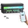Dyness Batteria LiFePO4 24V 100Ah Bluetooth BMS 100A Accumulo Solare Camper