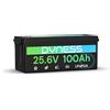 Dyness Batteria al Litio LiFePO4 24V 100Ah con 100A BMS, Batteria Accumulo Fotovoltaico 20.48 kWh(Max.8 Batterie), Motore Elettrico per Pescherecci Elettrici, Camper, Pannelli Solari