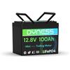 Dyness Batteria al Litio 12V 100Ah LiFePO4 Batteria Mini con BMS 100A, Protezione da Bassa Temperatura, Max 15000 cicli, per Camper, Solari Domestici, Motori di Barche