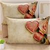 PETTI Artigiani Italiani - Coppia di Federe Cuscino 40x70 cm in Microfibra, Cuscini Arredo Camera da Letto, Divano, Salotto, Set 2 Fodere Copricuscino, Federa Shabby 332, 100% Made in Italy