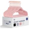 Blumtal Grucce Appendiabiti in Velluto, Grucce Vellutate, Grucce Salvaspazio nell'Armadio, Appendini Salvaspazio con Gancio Rotante 360°, Stampelle Armadio per Pantaloni, Oro Rosa - Rosa, 100 Pezzi
