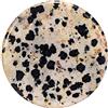 Morella Coins Moneta amuleto Ciondolo Chakra Rotondo 33 mm Gemma Pietra preziosa - Diaspro Dalmata
