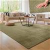 Paco Home Tappeto Moderno e Morbido per Soggiorno a Pelo Corto Lavabile Fluffy Uni Effetto Pelliccia Senza Tempo Elegante Antiscivolo Facile da Pulire, Dimensione:300x400 cm, Colore:Verde Chiaro