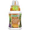 GESAL Concime Cactacee & Piante Grasse, Per Piante più Resistenti, 250 ml