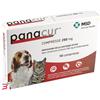 GMM FARMA SRL PANACUR*10CPR 250MG CANI GATTI