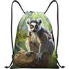 SMAZDFXX Zaino con coulisse Borsa sportiva da palestra Lemure dalla coda ad anelli Borse con coulisse per palestra Sport Yoga Viaggio Piccolo
