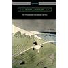 Selma Lagerlof The Wonderful Adventures of Nils (Tascabile)