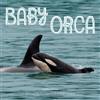 Mary Batten Baby Orca (Tascabile)