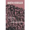 Martin Heidegger Essays in Metaphysics (Tascabile)