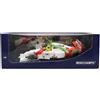 MINICHAMPS 1:18 MODELLINO F1 MCLAREN MP4/8 SENNA VETTEL TRIBUTE IMOLA 530931805