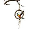 Générique Altalena pappagallo,Altalena sospesa a calopsitte, giocattoli per uccelli e parrocche,per gabbia, masticamento, stimolazione, gioco, arrampicata, calopsitte, diamante mandarino, conure, inseparabile