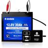 DC HOUSE DCHOUSE Batteria Litio 12V 30Ah Mini con Caricatore USB Multi-Porta 2 in 1