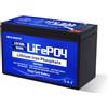 ECO-WORTHY LiFePO4 Batteria 12V 8 Ah, Ricaricabile a 15000 Cicli Profondi e Protezione BMS,per Campeggio, Impianti solari, Camper, Barche e Pannelli solari