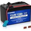 DC HOUSE DCHOUSE 12V 12Ah Batteria Lifepo4, Conector de Arnés de Cables y Puerto DC