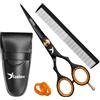 Candure Forbici Parrucchiere Professionali con Pettine e Custodia in Pelle 6.5" - Forbici Capelli per Parrucchieri Professionisti, Barbieri e Uso Personale per Adulti e Bambini (Nero)