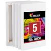 Zenacolor - Tela per Dipingere 50x70 cm - Set di 5 Tele per Pittura