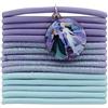 DISNEY - Set di 15 elastici fantasia - FROZEN - ELSA & ANNA - Capelli spessi - Prodotto ufficiale Disney