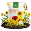 LERAVA® Semi Girasoli (4 varietà) - Girasole gigante rosso giallo nano Sungold - Facile coltivazione per giardino - Semi di girasole da piantare per fioriture ricche e colorate