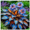 MHTSNW Hosta Vaso Rari Graceful/Crescita Rapida Bellissimo Giardino.-4knolle-M