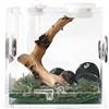 Generic contenitore per insetti in acrilico trasparente rettile habitat box per ragno, , lumache, coleotteri, terrario per animali domestici, serpente, ragno, L