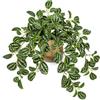 Oairse Piante finte in vasi di metallo dorato 41 cm Pianta artificiale in vaso Verzura Piante ricadenti finte Tradescantia Zebrina per interni ed esterni, casa, ufficio, bagno, cucina, mensola