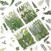 Glamoreal Set da 81 Pezzi con Fiori e Foglie essiccati e pressati, Foglie Verdi Naturali dai Toni terrosi, felci ed eucalipto per progetti in Resina, Scrapbooking, con pinzetta Inclusa