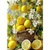 CEOVR Diamond Painting Kit Limone DIY Pittura Diamante Kits 30x40cm Mosaico Diamanti Painting per Decorazioni Casa Fiore