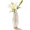 ORIZZONTE ITALIA Vaso Decorativo Moderno con Curve Geometriche Fluide, Vasi per Fiori Freschi/Secchi, Piante, Ideale per Arredo Casa/Studio/Ufficio, Centrotavola,Oggetti/complementi d'arredo (Bianco)