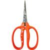 近正 CHIKAMASA B-500SF Cesoie per la cura dell'uva trattate con fluoro, in acciaio inox