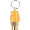 DAGLLGEW Valvola di ritegno per compressore d'aria, filettatura in ottone da 1/4'' a 12 bar, valvola di sicurezza, di sicurezza per compressore d'aria, di per