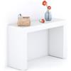 Mobili Fiver, Consolle Ingresso Evolution 120x40, Bianco Frassino, Made in Italy