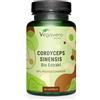 Vegavero Cordyceps Sinensis BIO | Estratto CS-4 biologico (20:1) | 13.000 mg | con 40% di polisaccaridi | Adattogeno e Antiossidante | Vegan | Vegavero®