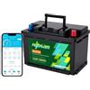 Mjbsan Batteria LiFePO4 da 12 V, 100 Ah, 100 A, BMS, 4000 - 8000 cicli, potenza massima 1280 W, sostituzione perfetta per batterie al piombo acido per roulotte, campeggio, sistemi a casa solare,