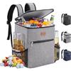 Lifewit Zaino Termico 24L (30 Lattine), Borsa Frigo Portatile con Scomparto, Grande Borse Termica Porta Pranzo per Uomo e Donna, Cooler Bag per Mare, Spiaggia, Viaggio, Grigio