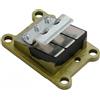 BUDZAVHIC 6E0-13610 6E0-13610-00 VALVOLA Reed A Motore per Barca per Motore fuoribordo Ymh Parsun Hidea 2 Tempi 4HP 5HP