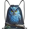 SMAZDFXX Zaino con coulisse Borsa sportiva da palestra gufo blu Borse con coulisse per palestra Sport Yoga Viaggio Medio