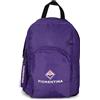 ACF FIORENTINA Zaino Fiorentina, Viola, 22 x 40 x 23 cm, 3 Scomparti
