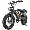 FERCHIX Bicicletta elettrica per adulti BK20, lunga autonomia, CE e EN15194