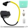 ZAMDOE Modulo Bobina di accensione per decespugliatore 537418701 per Husqvarna 223L 223R 323R 323L 323RJ 325RJ 325RJX 326C 326LS 326LX 326 RX 326RJX 326ES 325RX 326AI 323P 326P 326LDX 323C 323LD