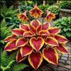 MYIJHMGB Hosta per riempire gli angoli del giardino/Paesaggio in angoli ombreggiati inutilizzati/Possono essere piantati in gruppi/Facili da curare per-10 PIECE-D