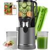 XTKKGFBIR Estrattore Frutta e Verdura a Freddo 400W, Slow Juicer con Bocca XL 152 mm per Frutta e Verdura Intere, Filtro 3 in 1 (Succo, Sorbetto, Latte Vegetale), Alto Rendimento, Lavastoviglie, Senza BPA, 1,8L