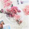 Larber Fiori Secchi per DIY Photo Props e Decor Matrimoniale | Decorazione Vaso, Fai da Te, Accessori Foto, Decor Nuziale