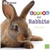 Tammy Gagne Expert Pet Care Caring for Rabbits a 4D Book (Tascabile)