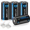 CITYORK D batterie ricaricabili, alta capacità 10000 mAh, NiMH 1,2 V, celle D, batteria ricaricabile con bassa autoscarica (4 pezzi)