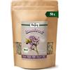 Biojoy BIO Tisana di verbena, essiccata, tagliata, 50 g | Tisana sfusa, Verbena officinalis L.