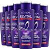 L'Oreal Paris L'Oréal Paris Elvital Shampoo per capelli biondi, striati, grigi, neutralizza i toni gialli, colore lucido, viola, shampoo argento anti-giallo, 6 x 200 ml