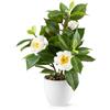 PASCH Fiori artificiali (Camelia (Bianco))